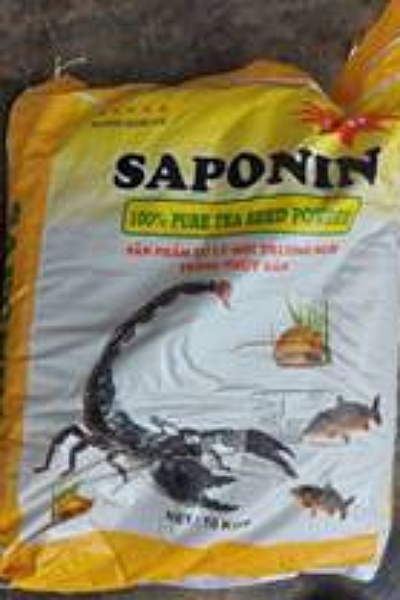 SAPONIN (10kg/bao)